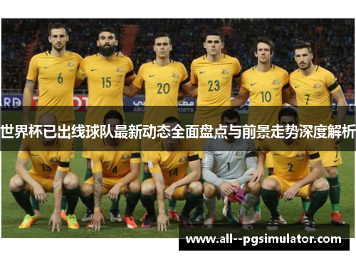 世界杯已出线球队最新动态全面盘点与前景走势深度解析
