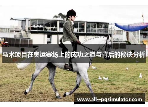 马术项目在奥运赛场上的成功之道与背后的秘诀分析